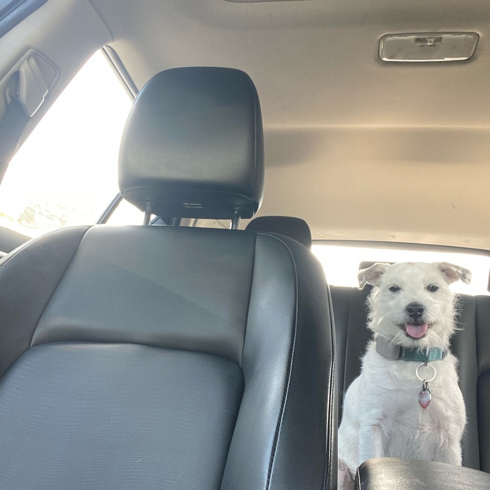 Meet your Posher, Dana